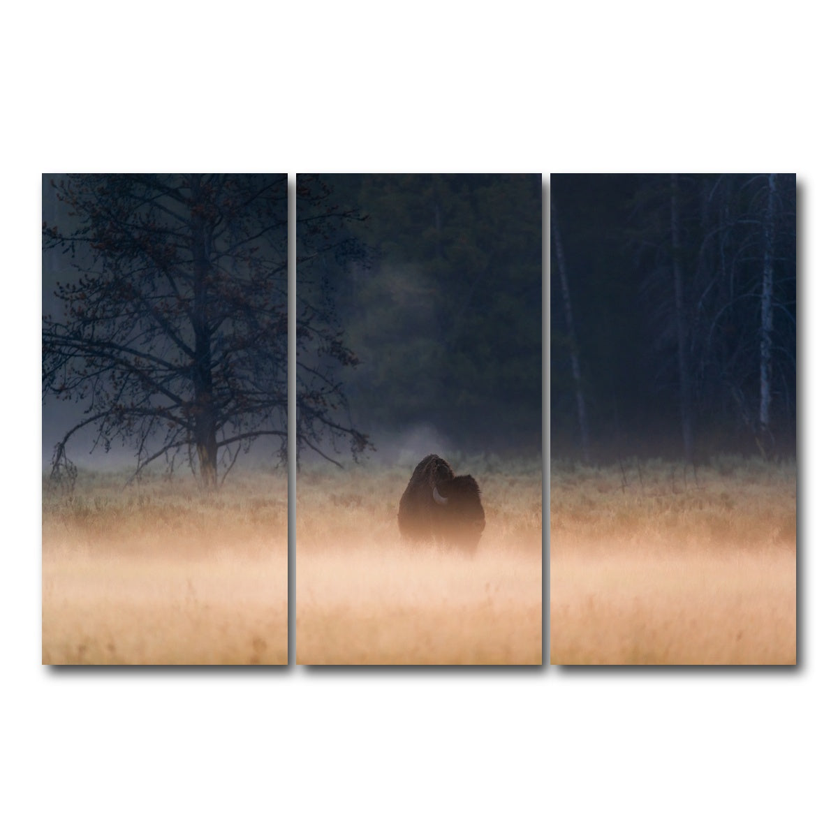 AUTO-MOCKUP WHITE | Foggy Morning | 3 Piece | Gallery Wrap Canvas | group=12x24