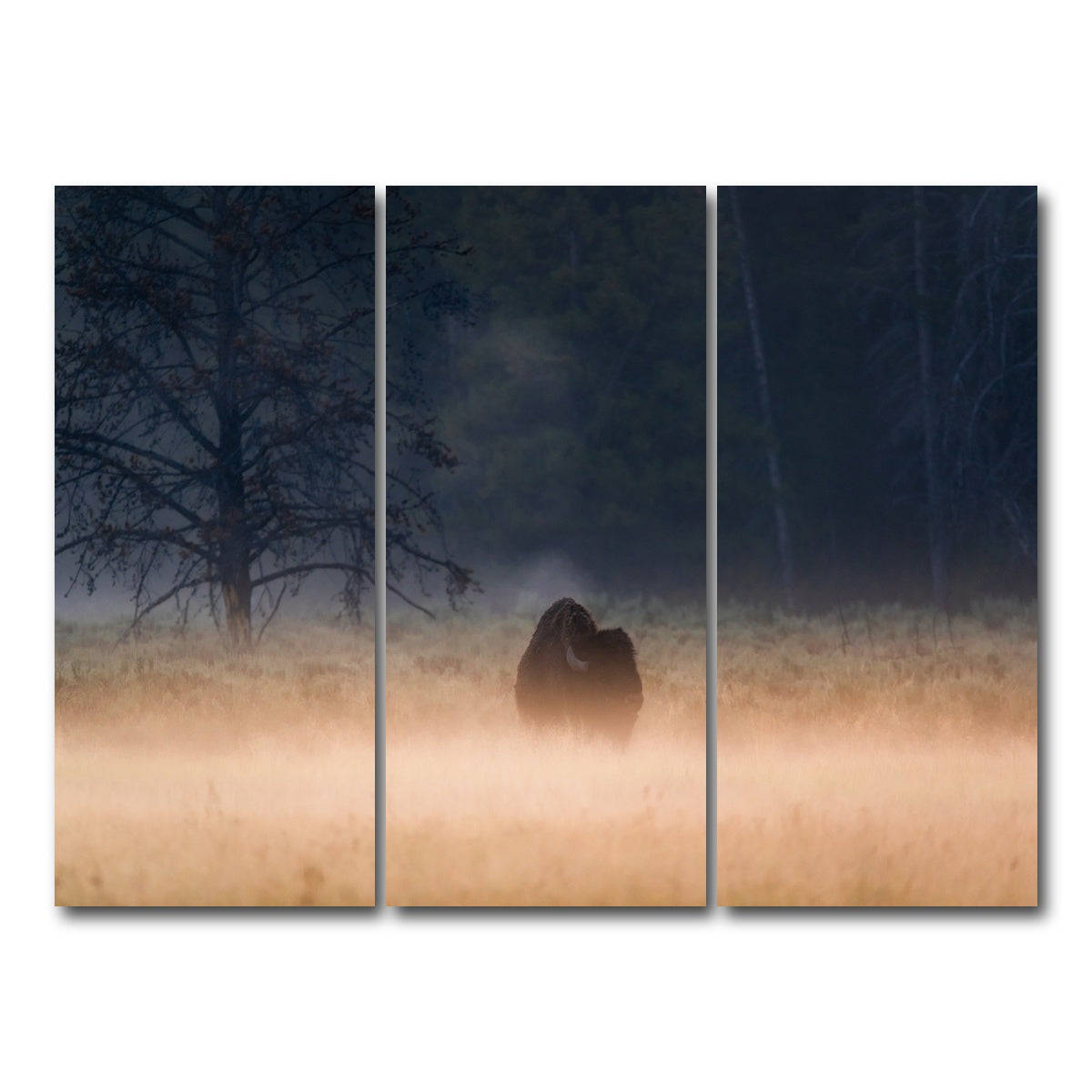 AUTO-MOCKUP WHITE | Foggy Morning | 3 Piece | Gallery Wrap Canvas | group=8x18