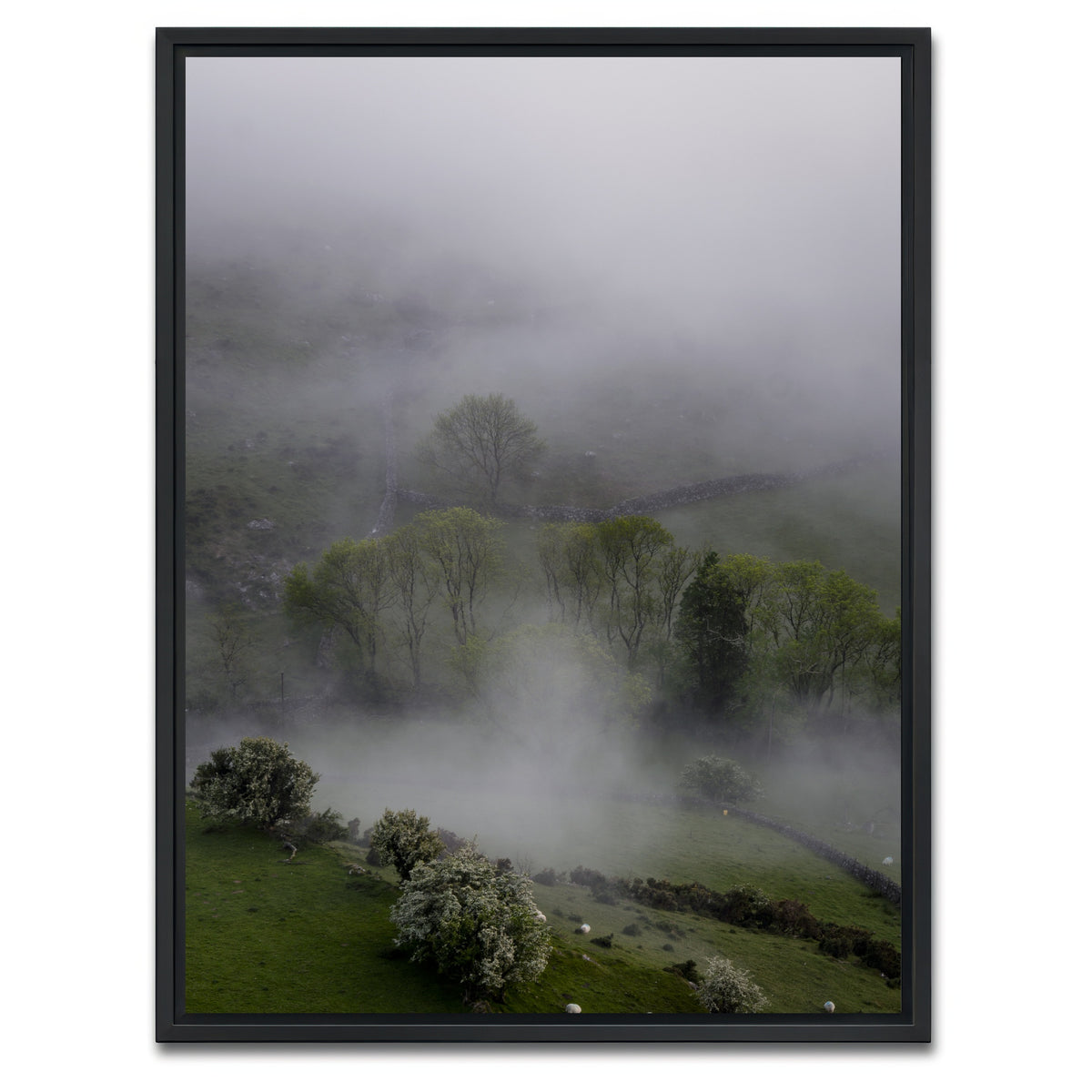 AUTO-MOCKUP WHITE | Foggy Trees | 1 Piece | Black Framed Canvas | group=3x4
