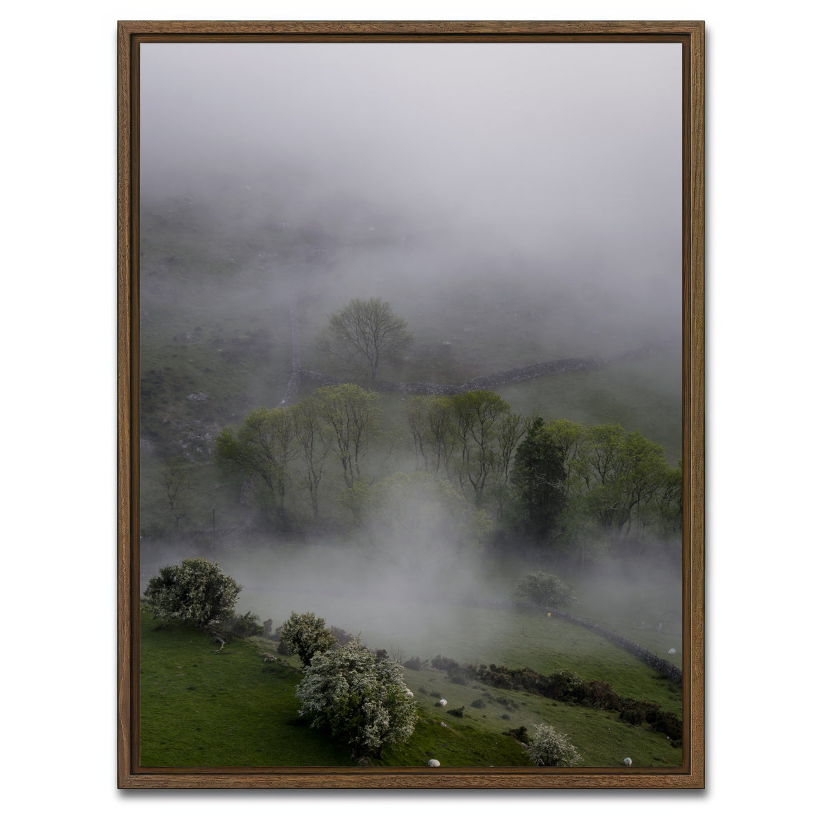 AUTO-MOCKUP WHITE | Foggy Trees | 1 Piece | Walnut Framed Canvas | group=3x4