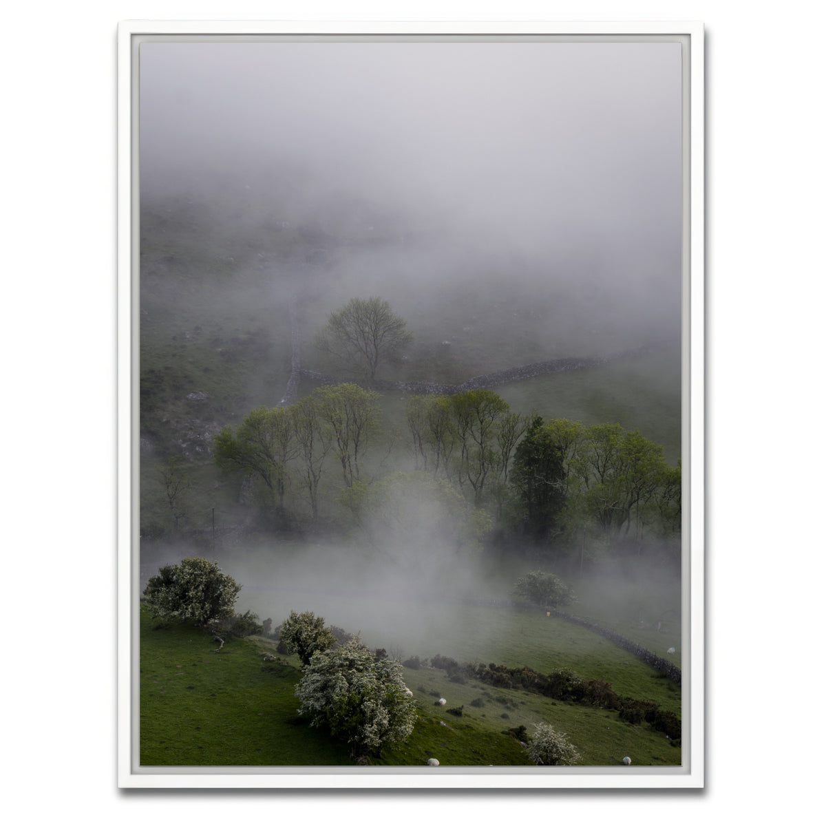 AUTO-MOCKUP WHITE | Foggy Trees | 1 Piece | White Framed Canvas | group=3x4