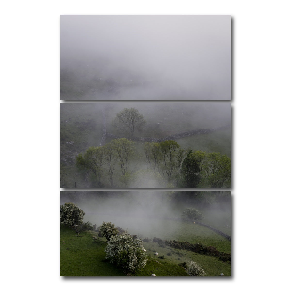 AUTO-MOCKUP WHITE | Foggy Trees | 3 Piece | Gallery Wrap Canvas | group=12x24_stacked