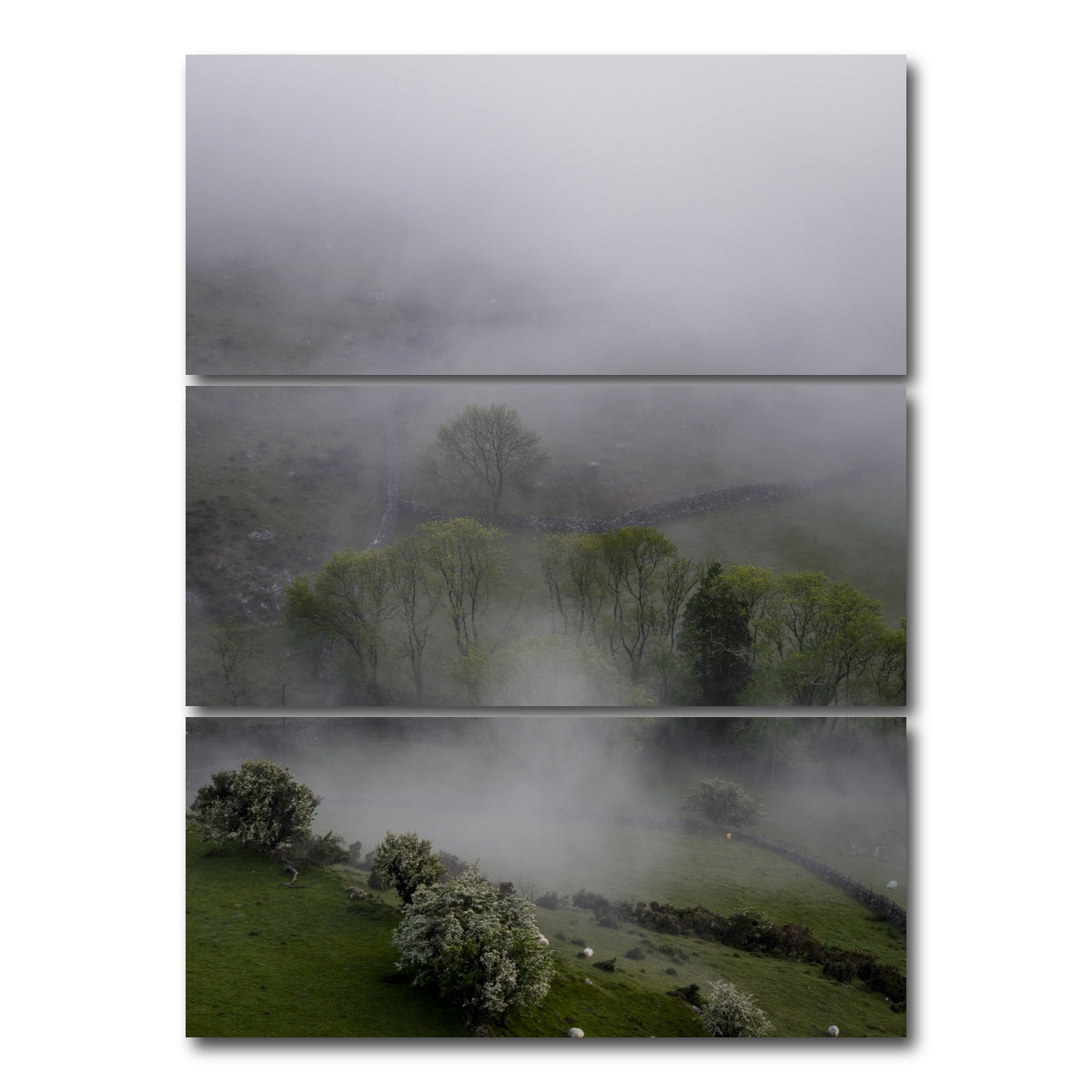 AUTO-MOCKUP WHITE | Foggy Trees | 3 Piece | Gallery Wrap Canvas | group=8x18_stacked