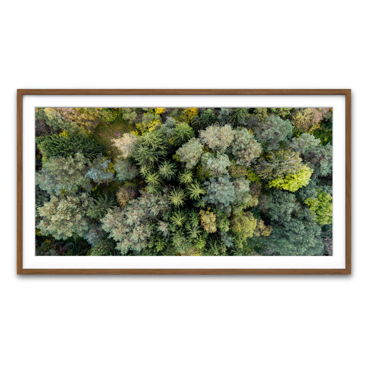 Framed Print 2x1 Walnut
