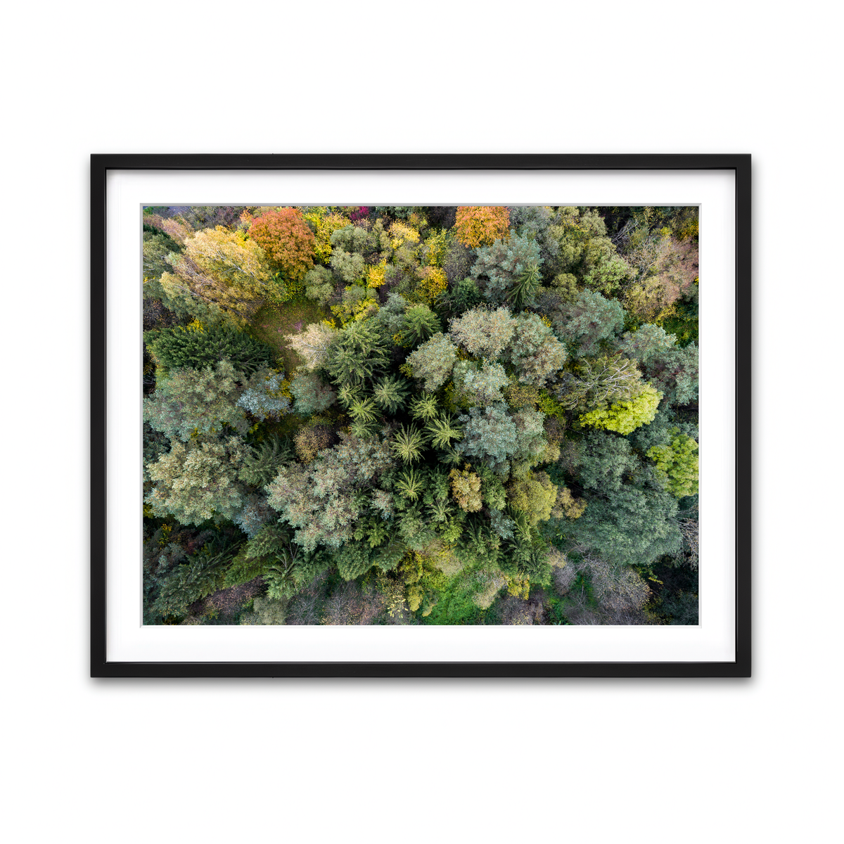 Framed Print 4x3 Black