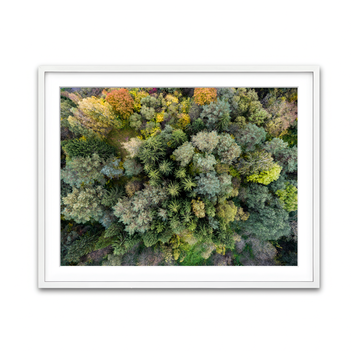Framed Print 4x3 White