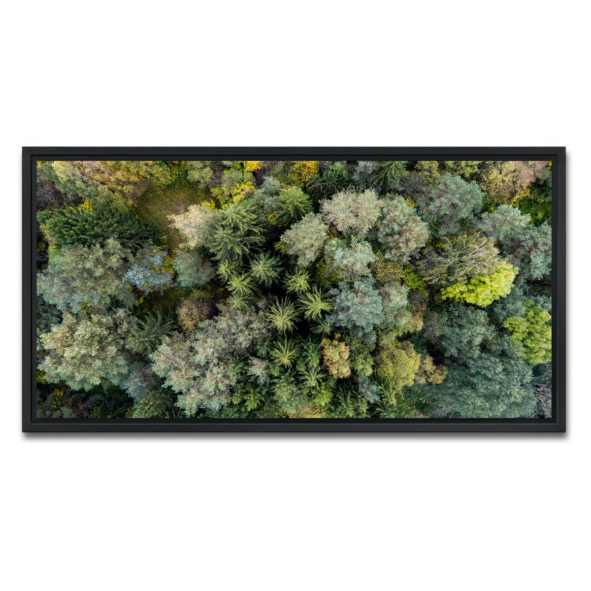 AUTO-MOCKUP WHITE | Forest From Above | 1 Piece | Black Framed Canvas | group=2x1