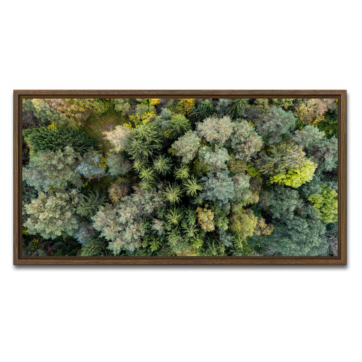 AUTO-MOCKUP WHITE | Forest From Above | 1 Piece | Walnut Framed Canvas | group=2x1