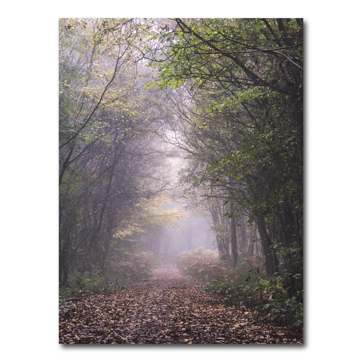 AUTO-MOCKUP WHITE | Forest Path | 1 Piece | Gallery Wrap Canvas | group=3x4