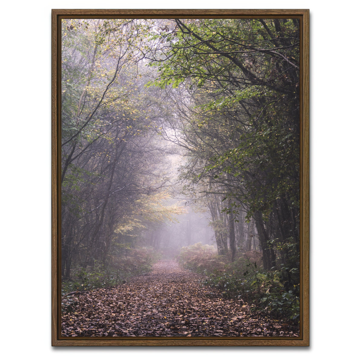 AUTO-MOCKUP WHITE | Forest Path | 1 Piece | Walnut Framed Canvas | group=3x4