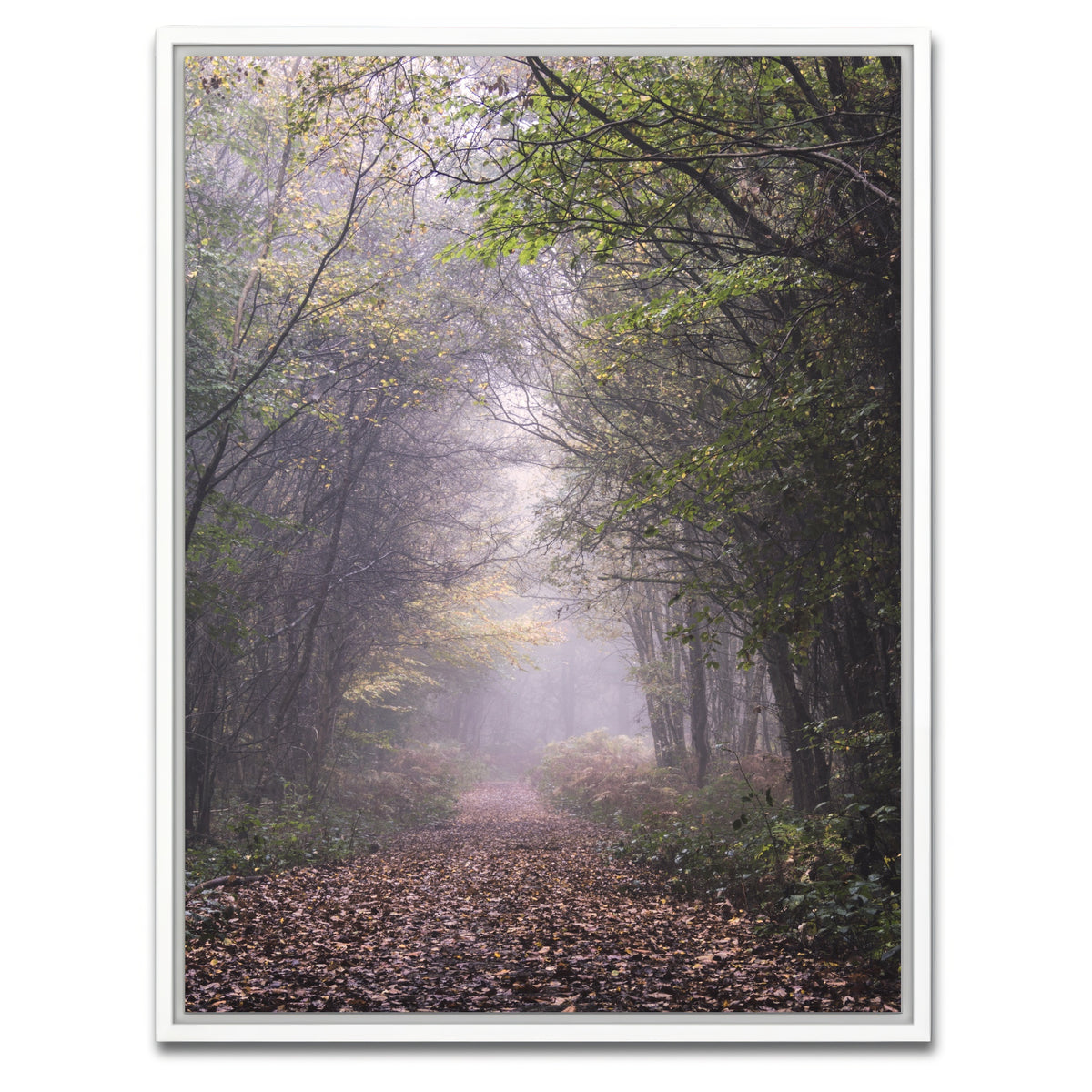 AUTO-MOCKUP WHITE | Forest Path | 1 Piece | White Framed Canvas | group=3x4