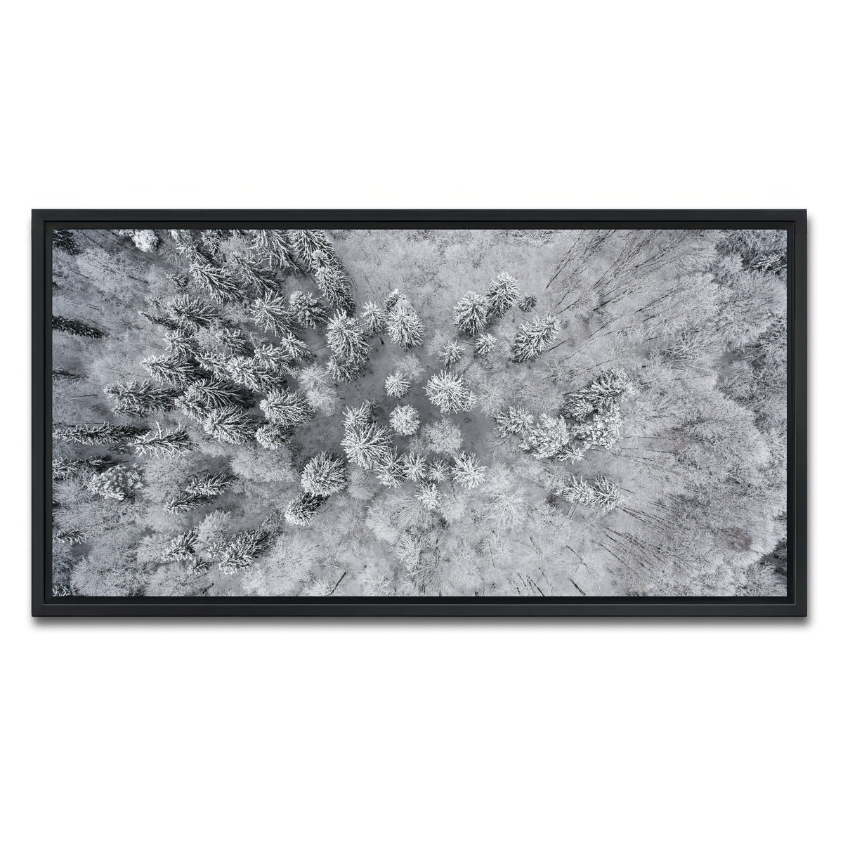 AUTO-MOCKUP WHITE | Forest Snow | 1 Piece | Black Framed Canvas | group=2x1