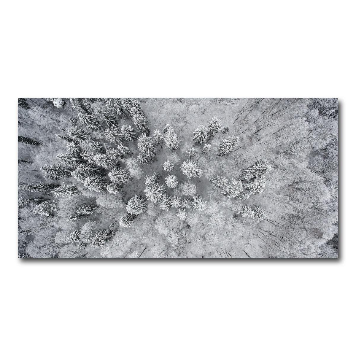 AUTO-MOCKUP WHITE | Forest Snow | 1 Piece | Gallery Wrap Canvas | group=2x1