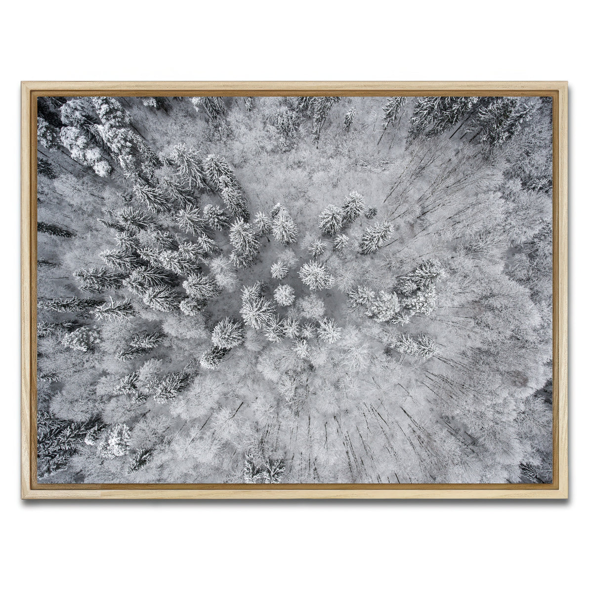 AUTO-MOCKUP WHITE | Forest Snow | 1 Piece | Natural Framed Canvas | group=4x3
