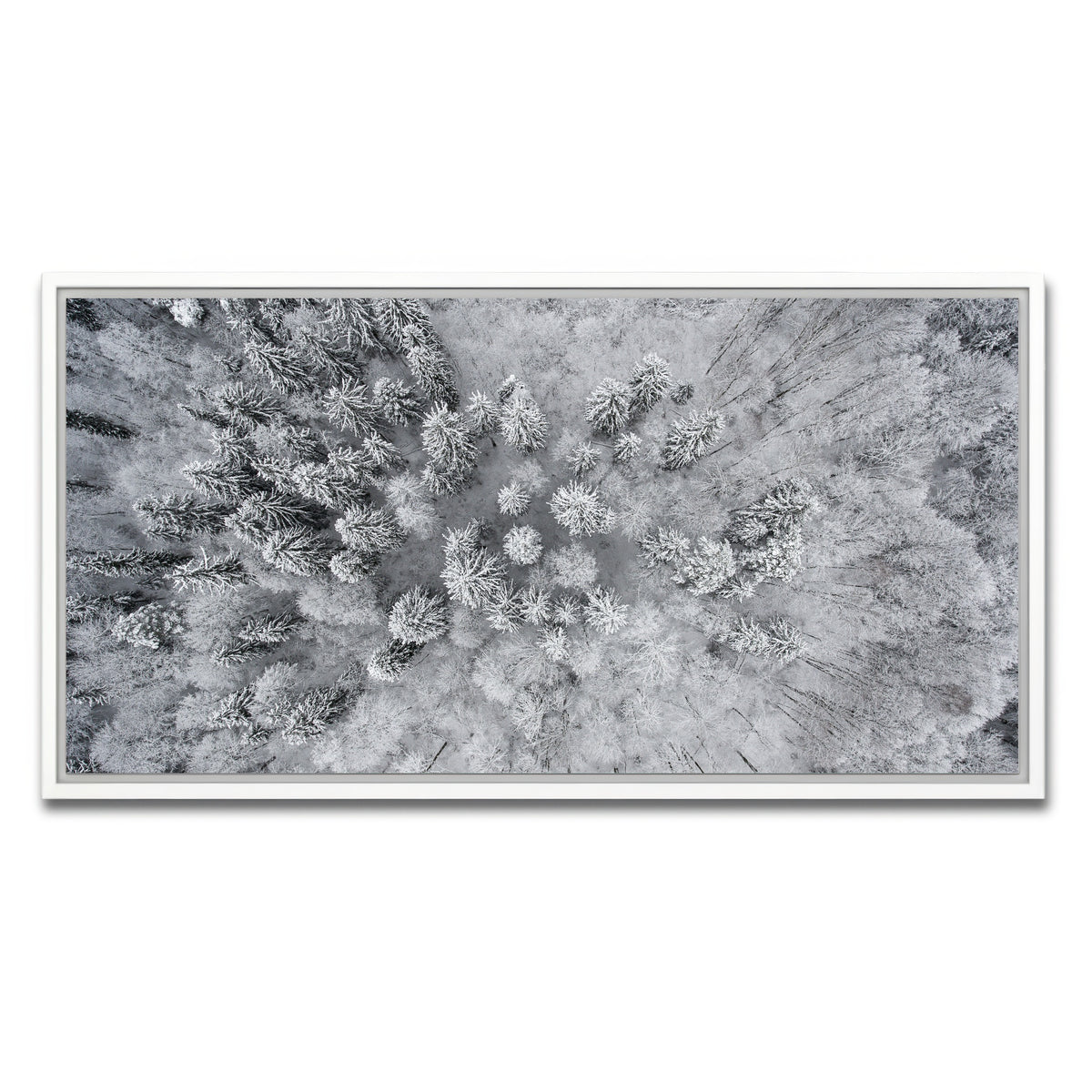 AUTO-MOCKUP WHITE | Forest Snow | 1 Piece | White Framed Canvas | group=2x1