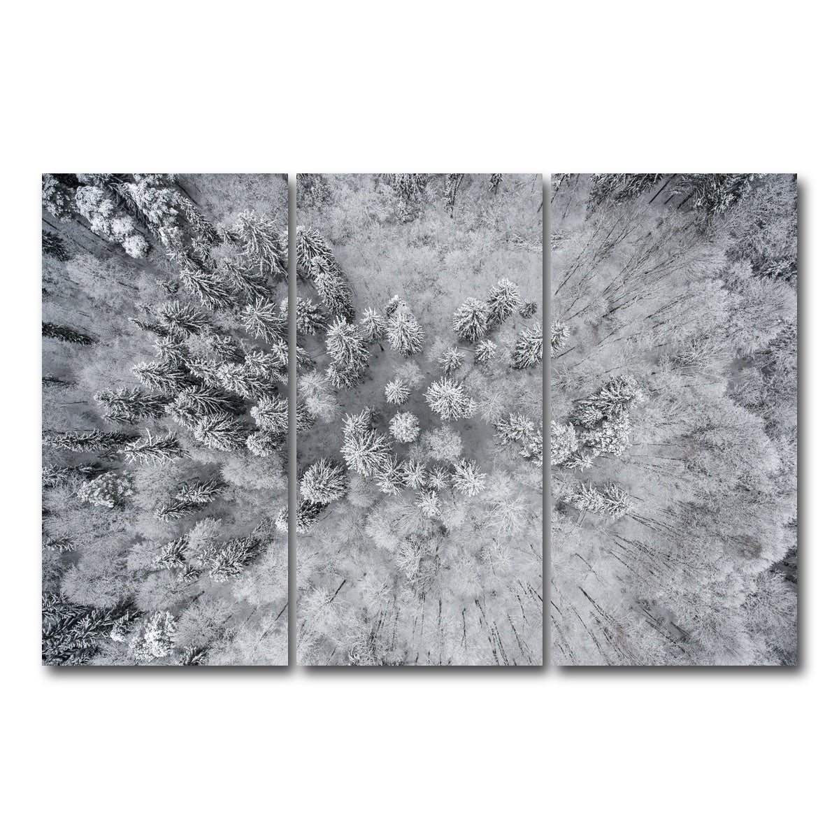 AUTO-MOCKUP WHITE | Forest Snow | 3 Piece | Gallery Wrap Canvas | group=12x24