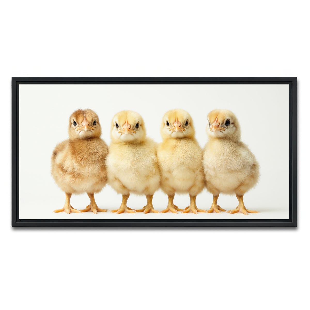 AUTO-MOCKUP WHITE | Four Baby Chickens | 1 Piece | Black Framed Canvas | group=2x1
