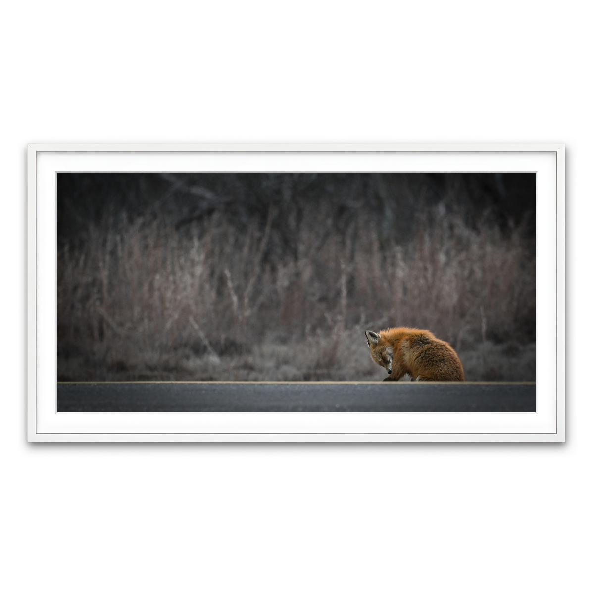 Framed Print 2x1 White