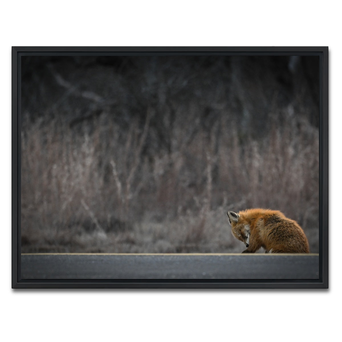 AUTO-MOCKUP WHITE | Fox Road | 1 Piece | Black Framed Canvas | group=4x3