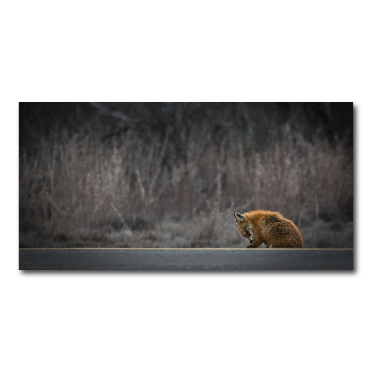 AUTO-MOCKUP WHITE | Fox Road | 1 Piece | Gallery Wrap Canvas | group=2x1