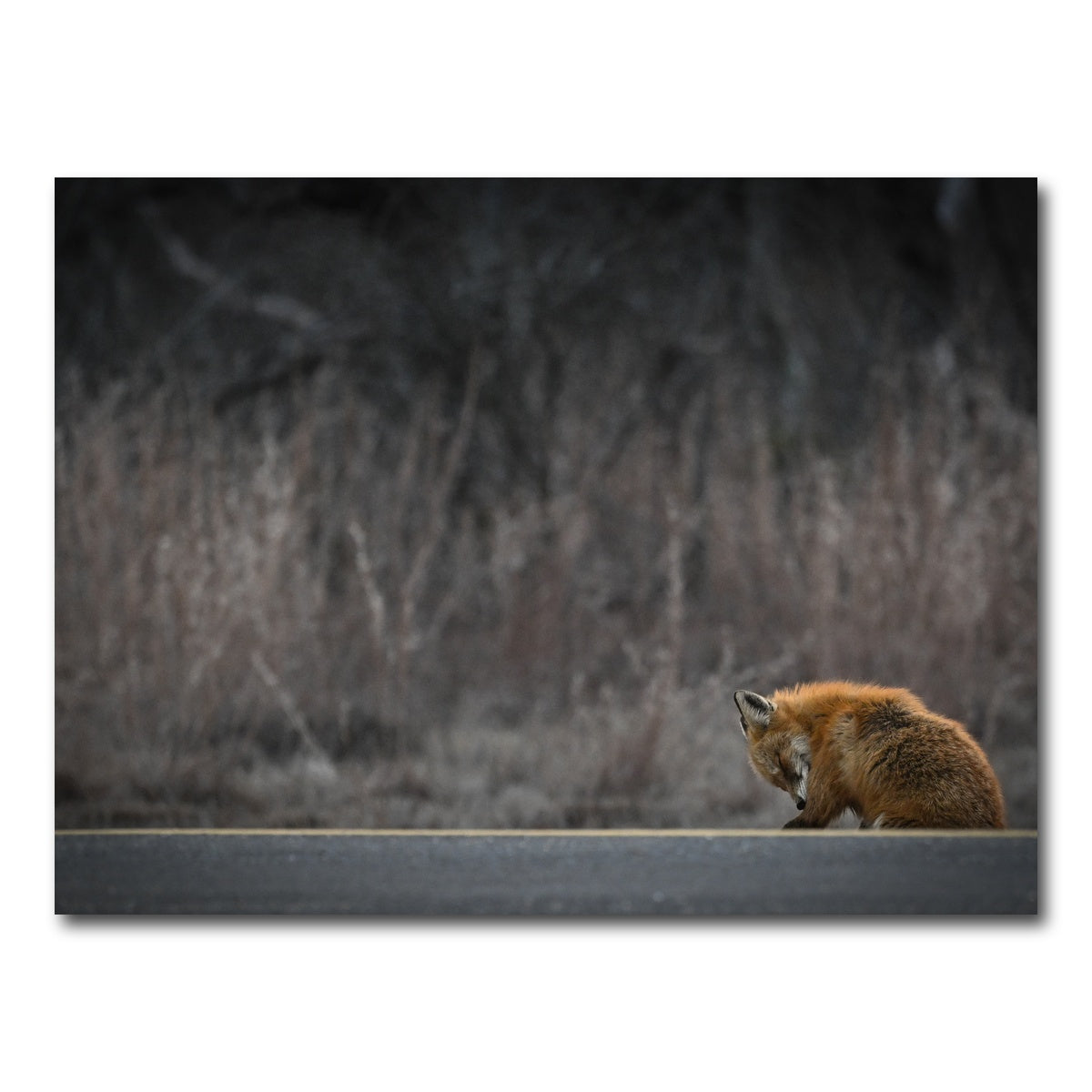 AUTO-MOCKUP WHITE | Fox Road | 1 Piece | Gallery Wrap Canvas | group=4x3