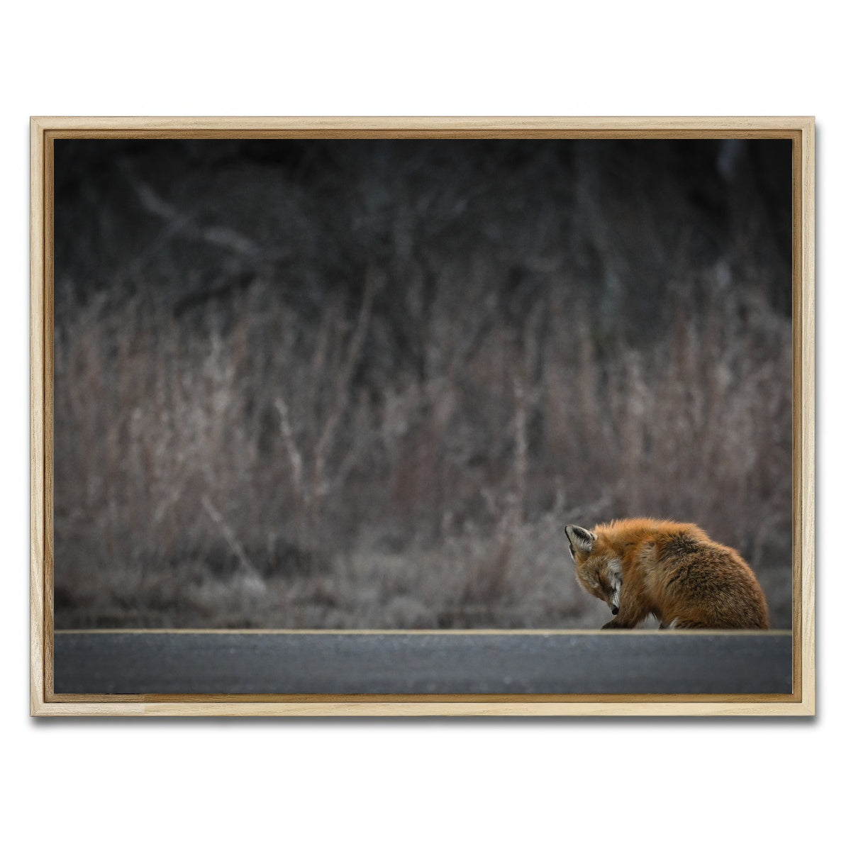 AUTO-MOCKUP WHITE | Fox Road | 1 Piece | Natural Framed Canvas | group=4x3