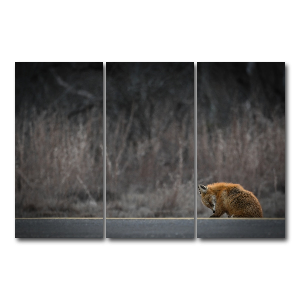 AUTO-MOCKUP WHITE | Fox Road | 3 Piece | Gallery Wrap Canvas | group=12x24