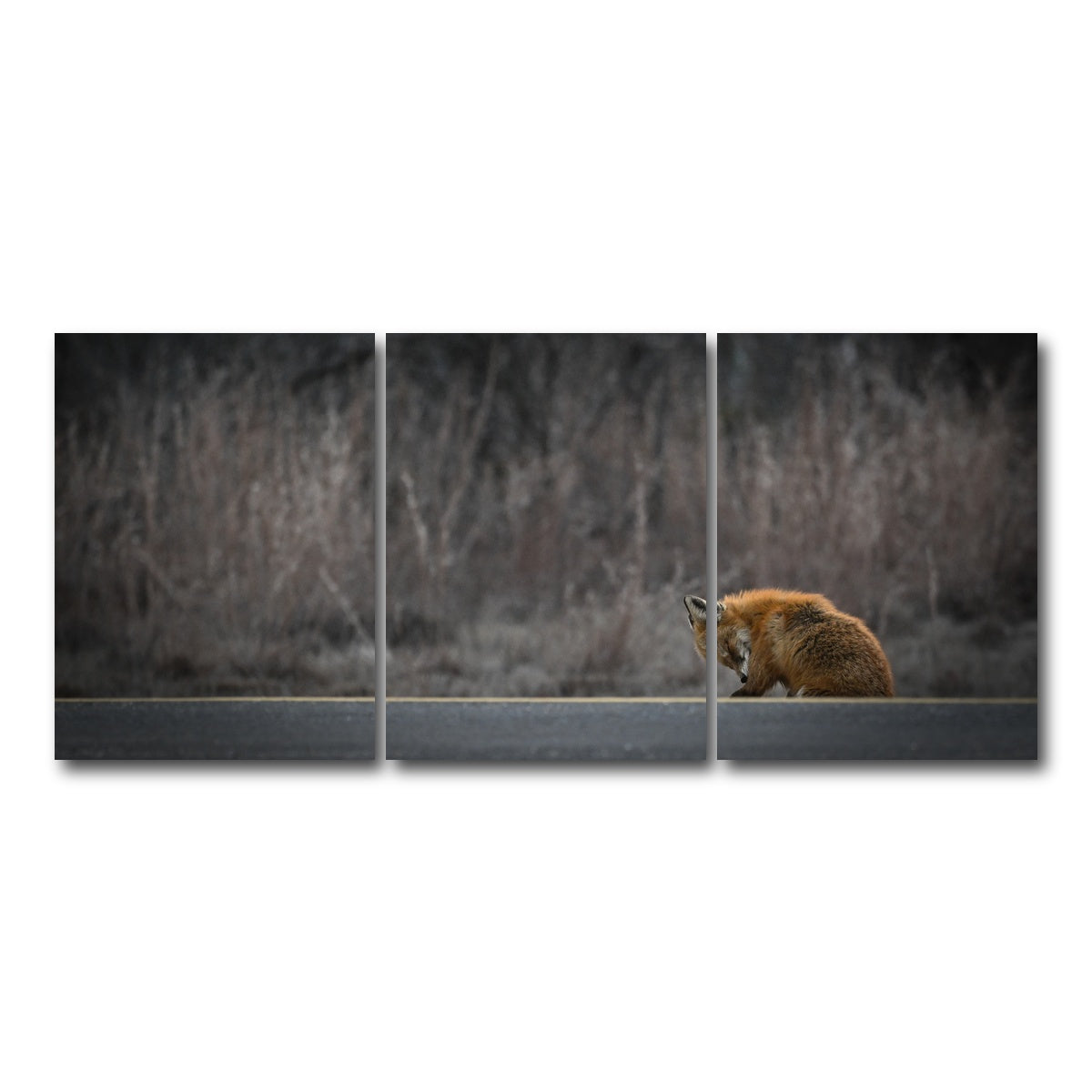 AUTO-MOCKUP WHITE | Fox Road | 3 Piece | Gallery Wrap Canvas | group=18x24