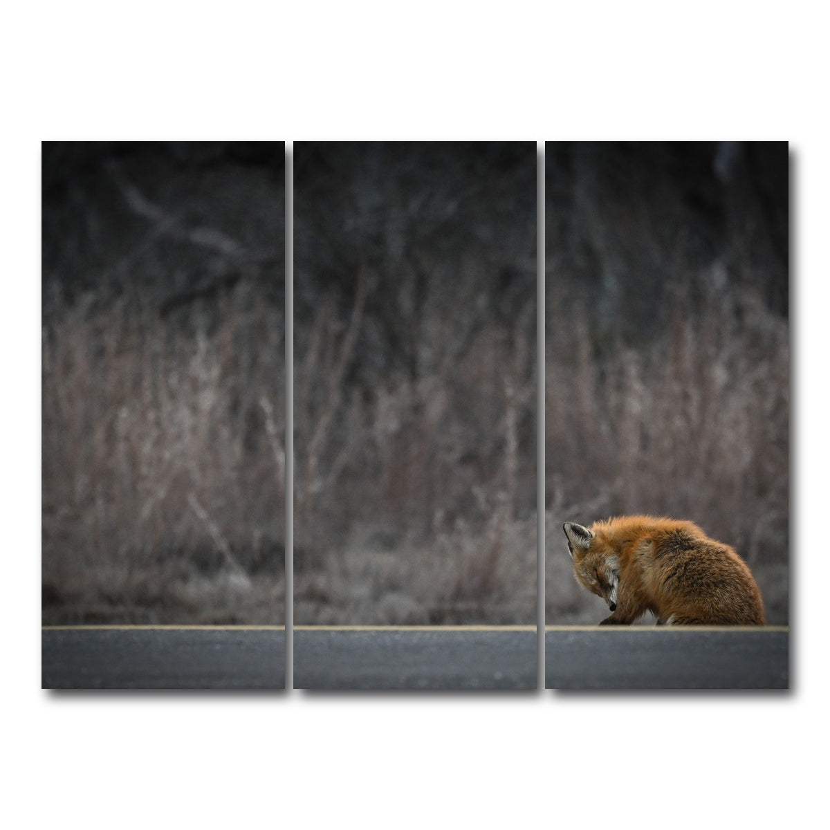 AUTO-MOCKUP WHITE | Fox Road | 3 Piece | Gallery Wrap Canvas | group=8x18