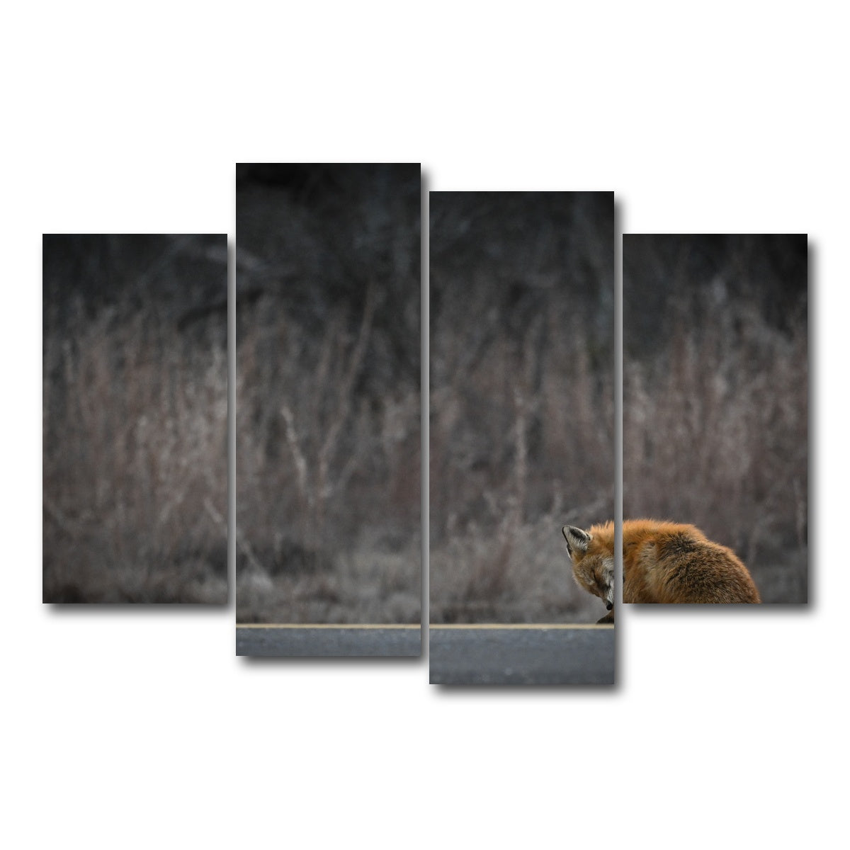 AUTO-MOCKUP WHITE | Fox Road | 4 Piece | Gallery Wrap Canvas | group=4_short
