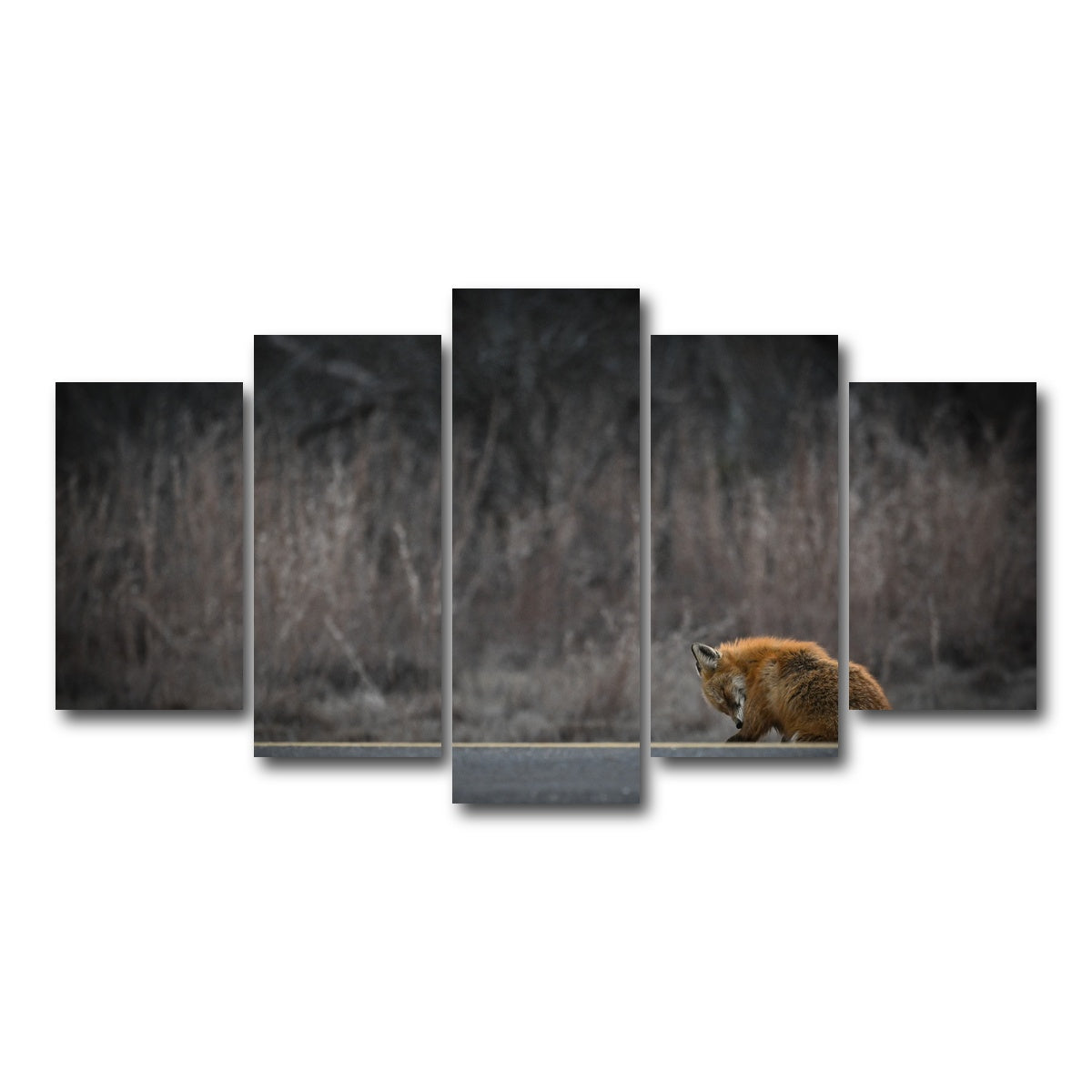AUTO-MOCKUP WHITE | Fox Road | 5 Piece | Gallery Wrap Canvas | group=5_normal
