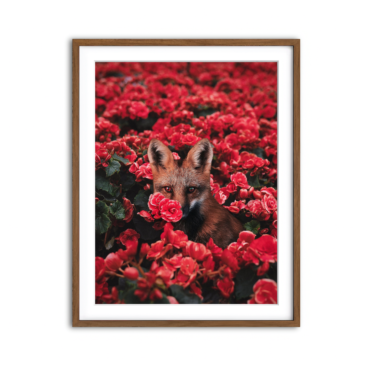 Framed Print 3x4 Walnut