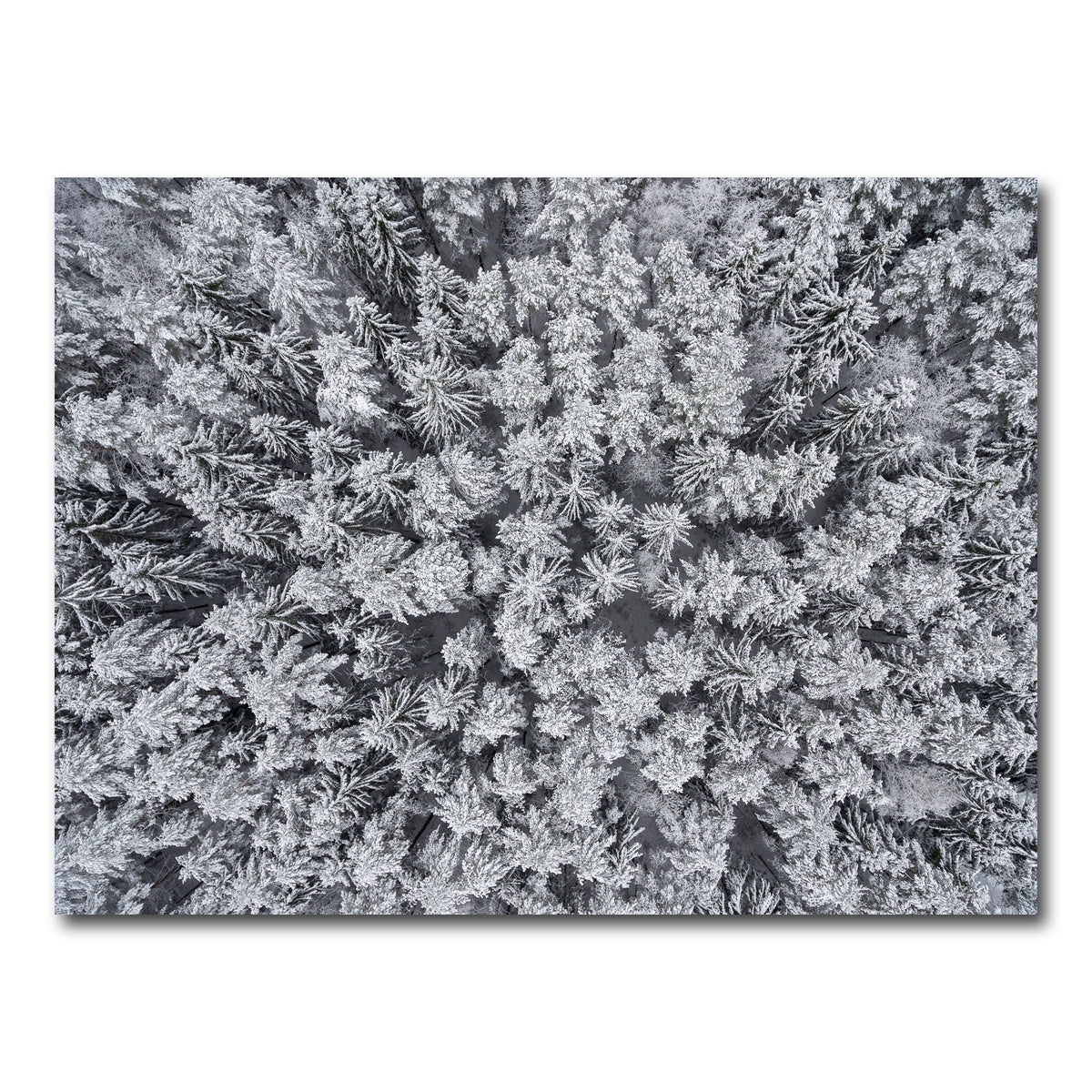 AUTO-MOCKUP WHITE | Frosted Tips | 1 Piece | Gallery Wrap Canvas | group=4x3