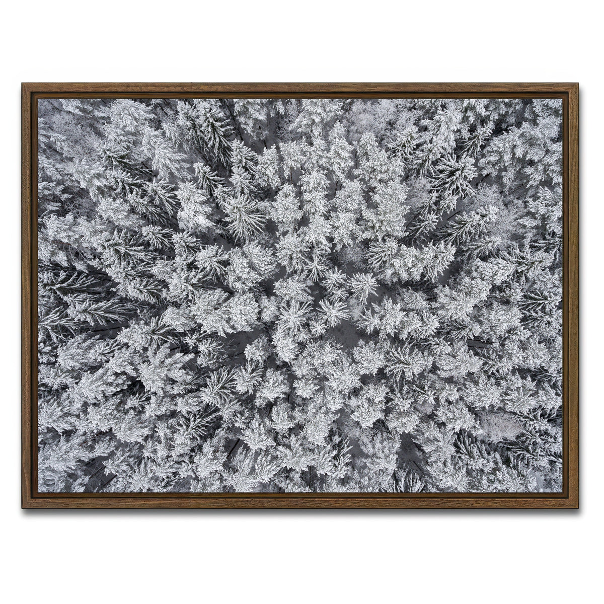 AUTO-MOCKUP WHITE | Frosted Tips | 1 Piece | Walnut Framed Canvas | group=4x3