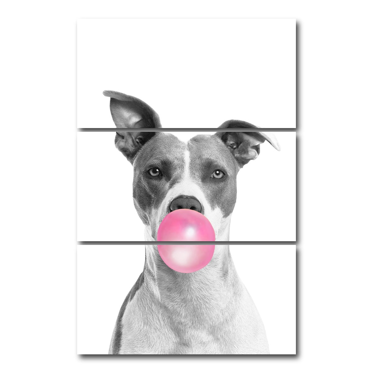 AUTO-MOCKUP WHITE | Funny Dog | 3 Piece | Gallery Wrap Canvas | group=12x24_stacked
