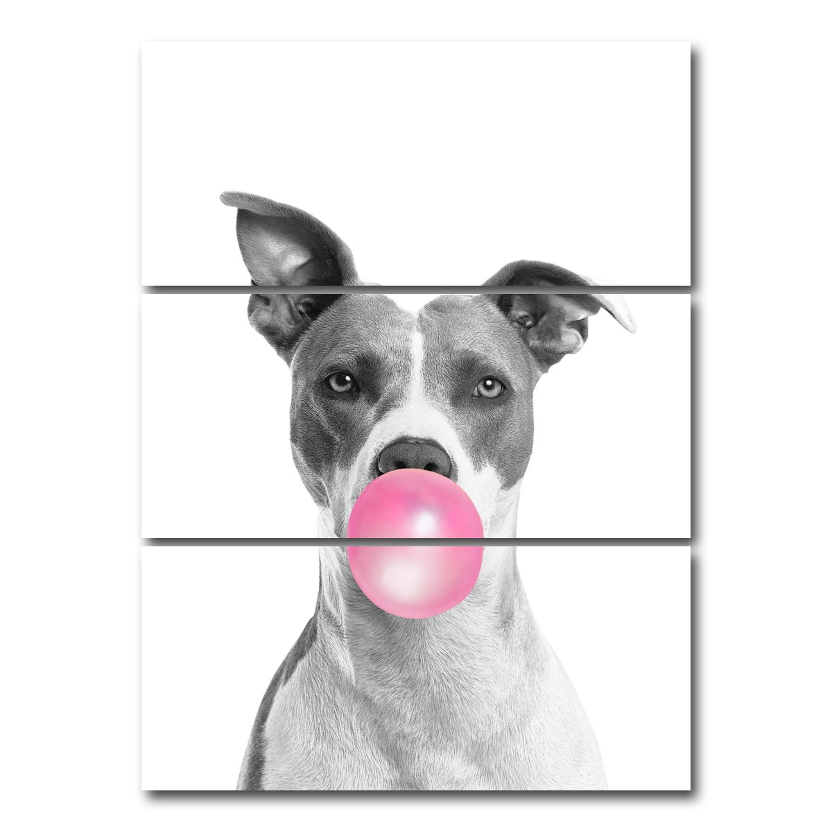 AUTO-MOCKUP WHITE | Funny Dog | 3 Piece | Gallery Wrap Canvas | group=8x18_stacked