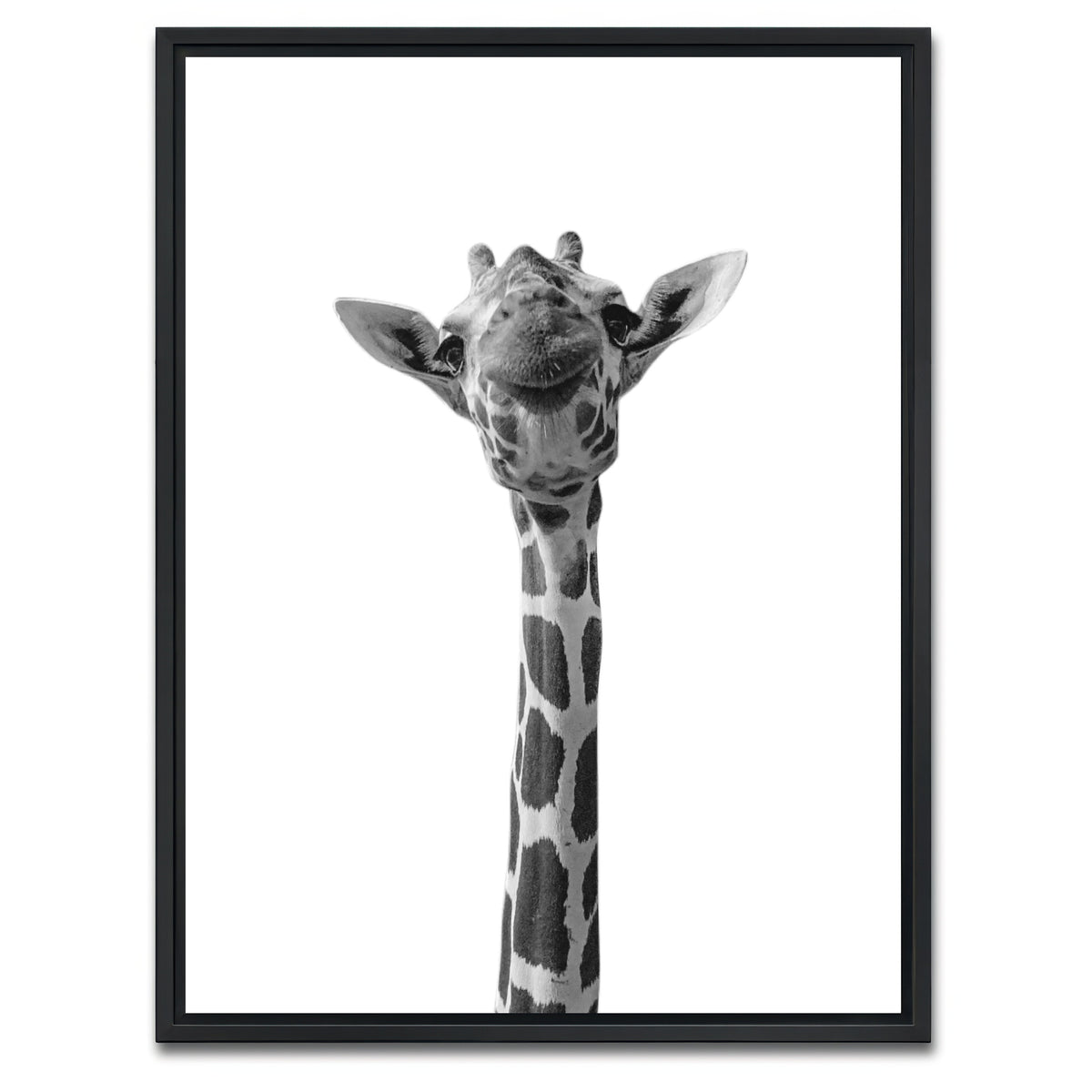 AUTO-MOCKUP WHITE | Funny Giraffe | 1 Piece | Black Framed Canvas | group=3x4