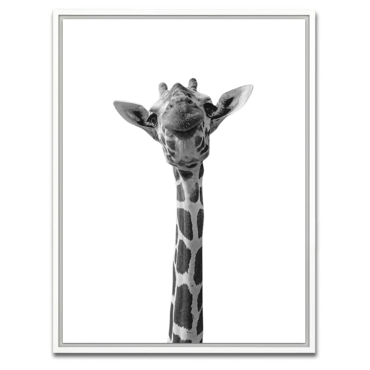 AUTO-MOCKUP WHITE | Funny Giraffe | 1 Piece | White Framed Canvas | group=3x4