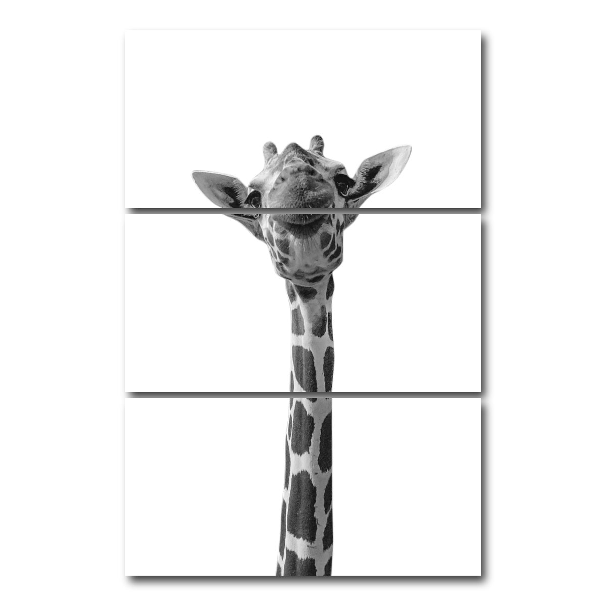 AUTO-MOCKUP WHITE | Funny Giraffe | 3 Piece | Gallery Wrap Canvas | group=12x24_stacked