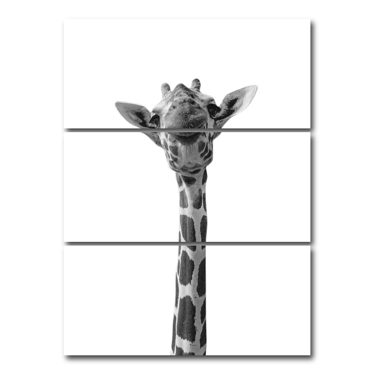 AUTO-MOCKUP WHITE | Funny Giraffe | 3 Piece | Gallery Wrap Canvas | group=8x18_stacked