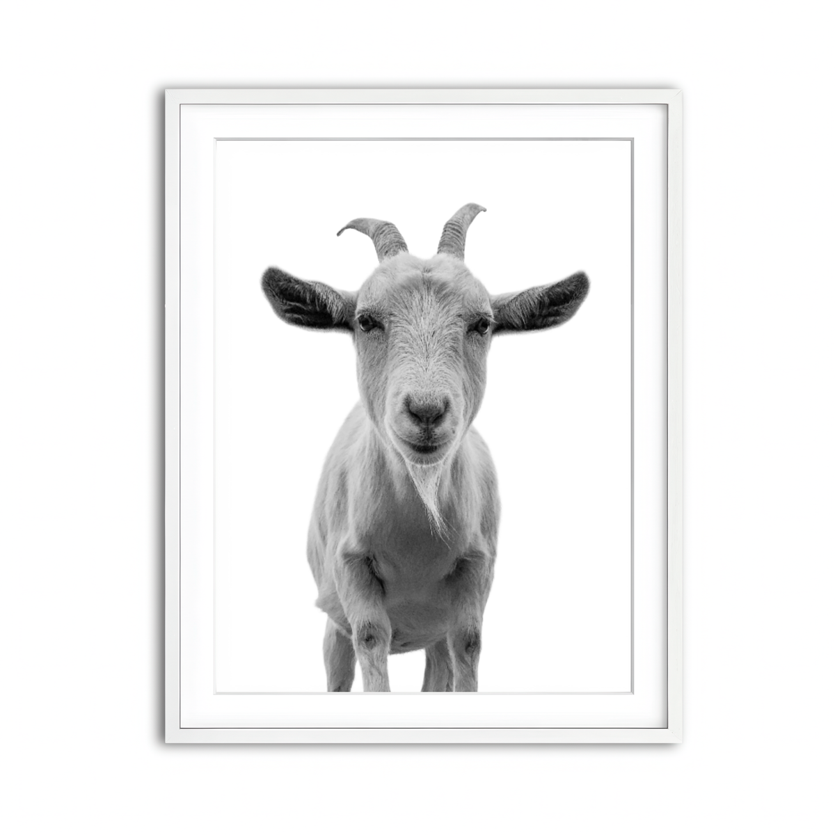 Framed Print 3x4 White