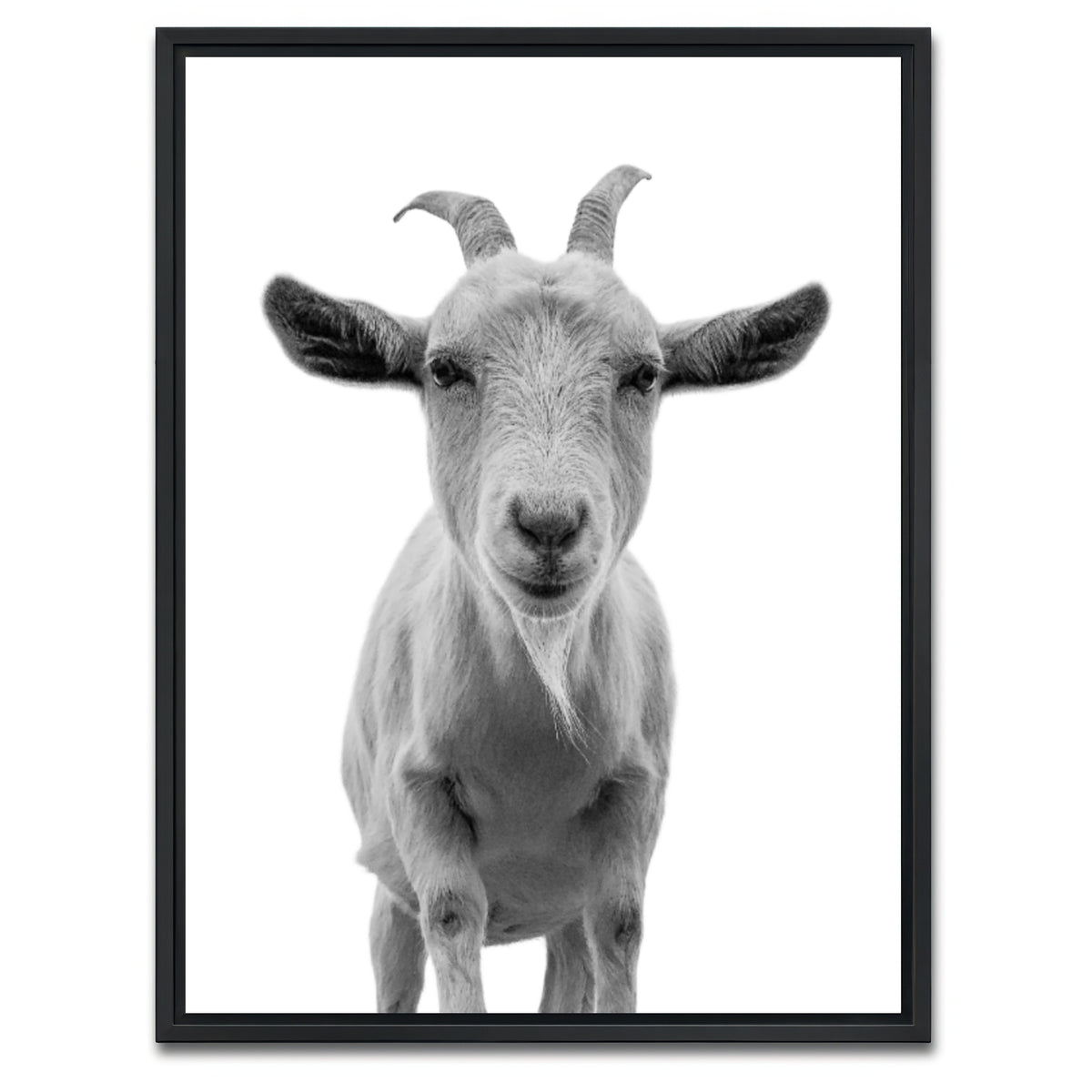 AUTO-MOCKUP WHITE | Funny Goat | 1 Piece | Black Framed Canvas | group=3x4