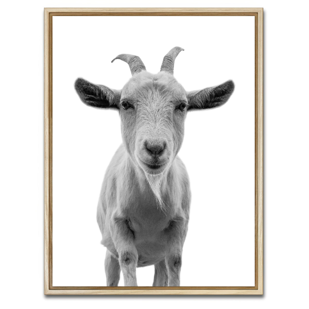 AUTO-MOCKUP WHITE | Funny Goat | 1 Piece | Natural Framed Canvas | group=3x4