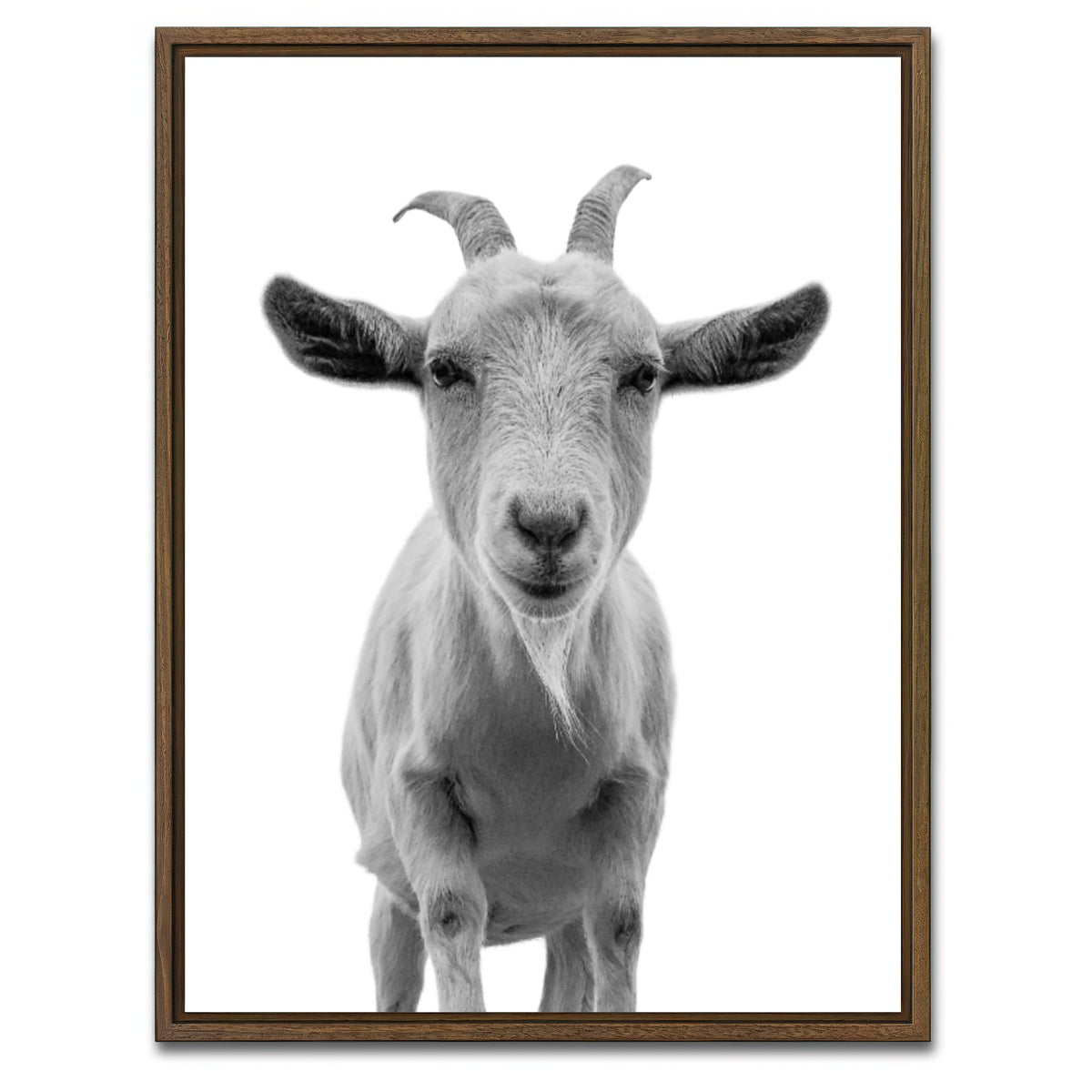 AUTO-MOCKUP WHITE | Funny Goat | 1 Piece | Walnut Framed Canvas | group=3x4