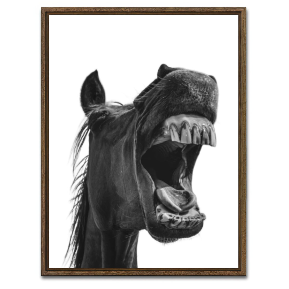 AUTO-MOCKUP WHITE | Funny Horse | 1 Piece | Walnut Framed Canvas | group=3x4