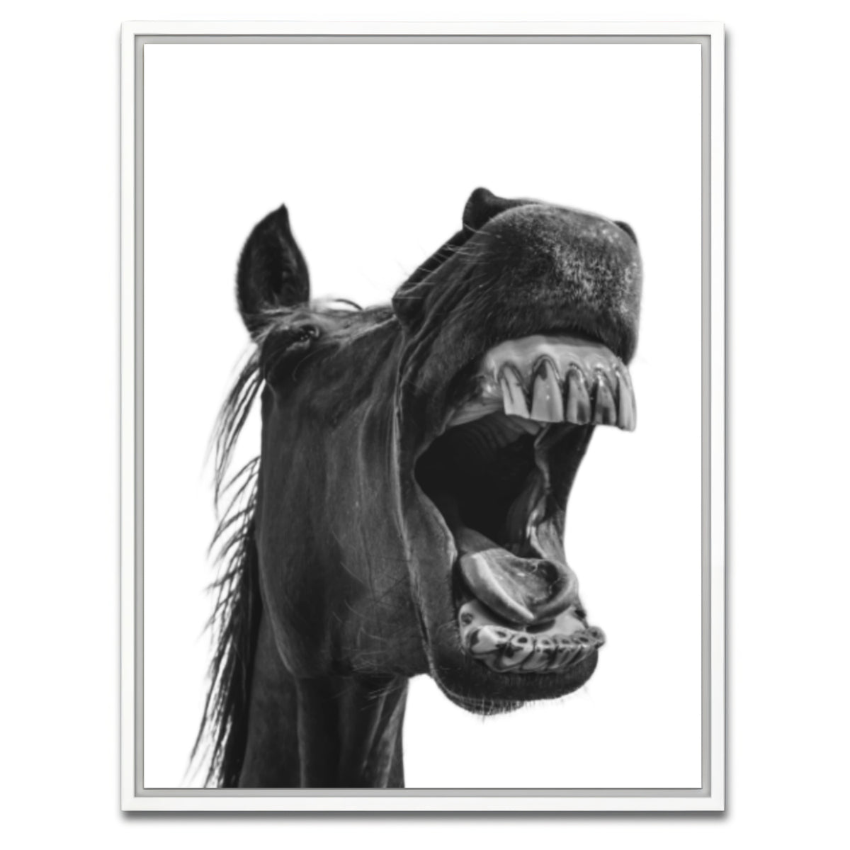AUTO-MOCKUP WHITE | Funny Horse | 1 Piece | White Framed Canvas | group=3x4