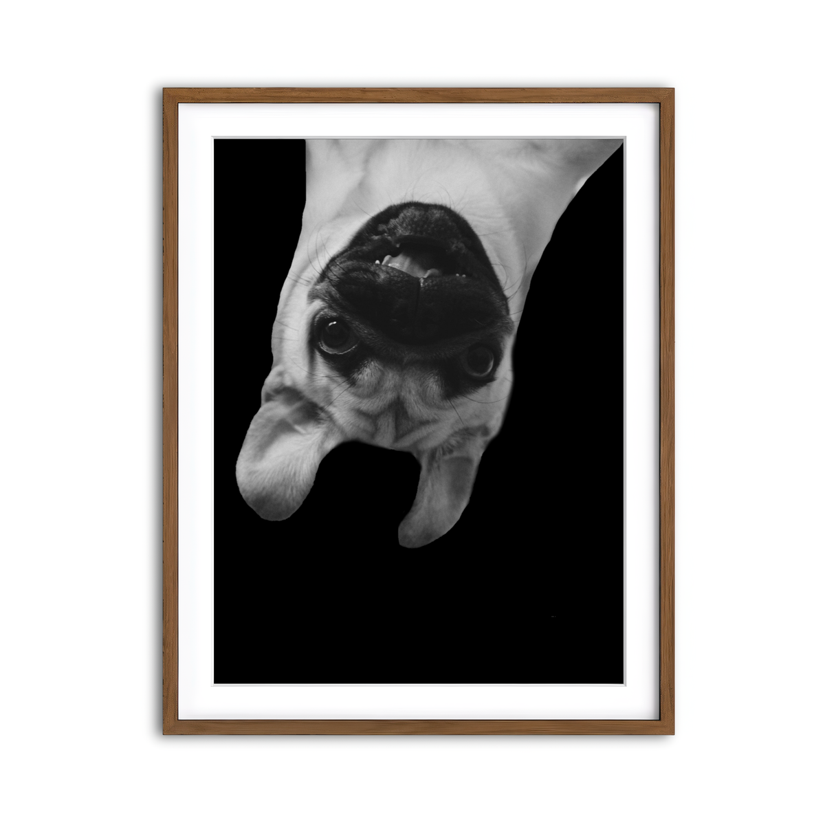 Framed Print 3x4 Walnut