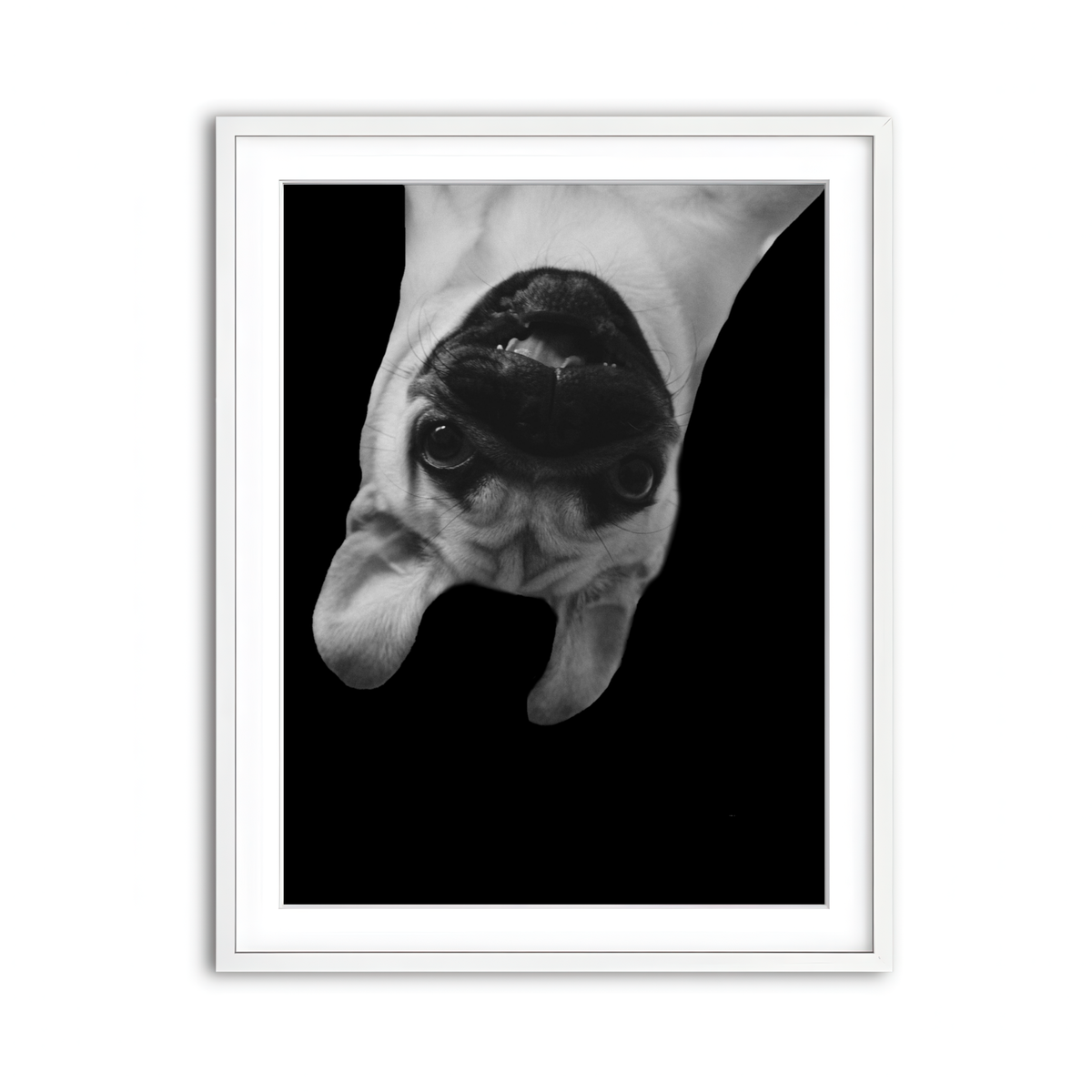 Framed Print 3x4 White