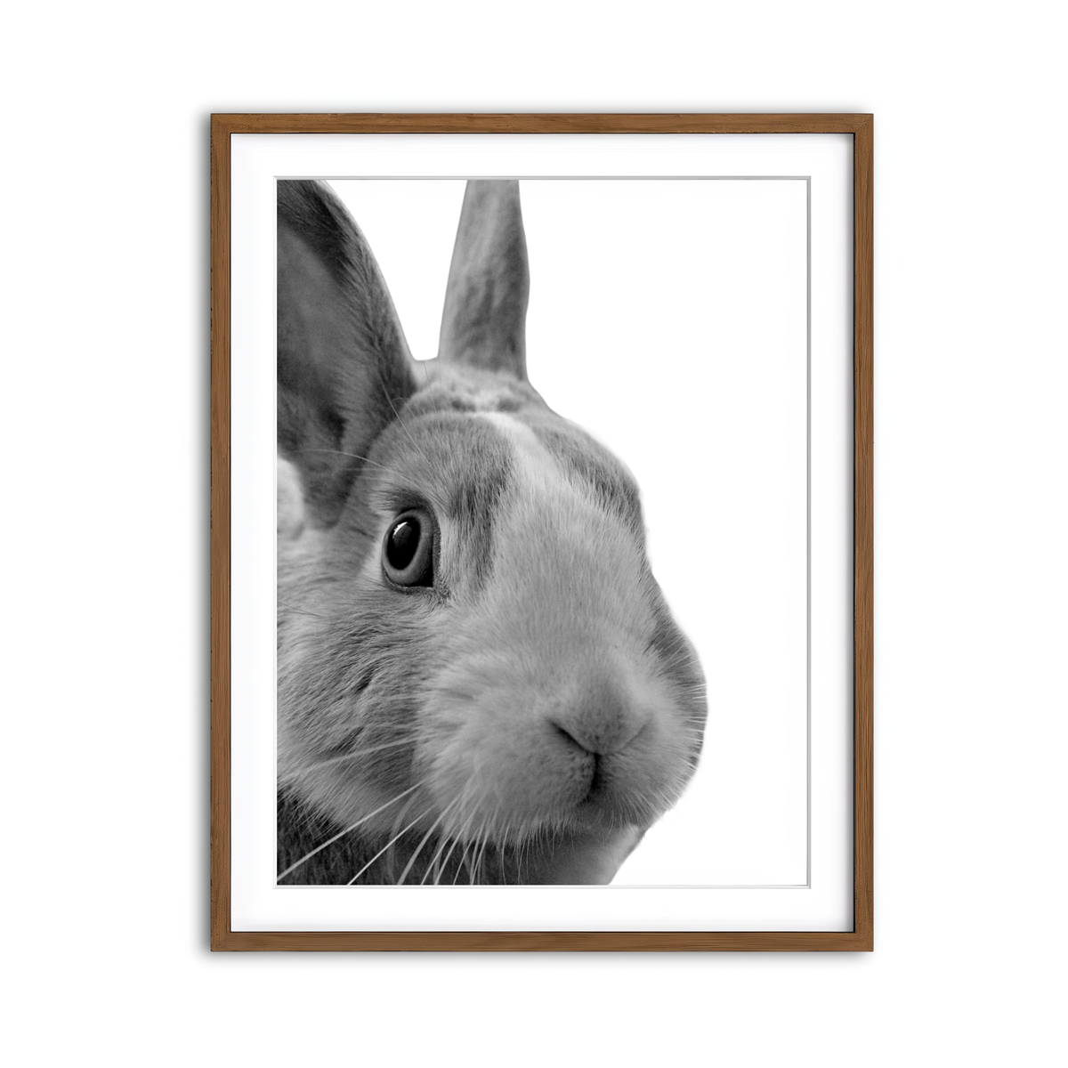 Framed Print 3x4 Walnut