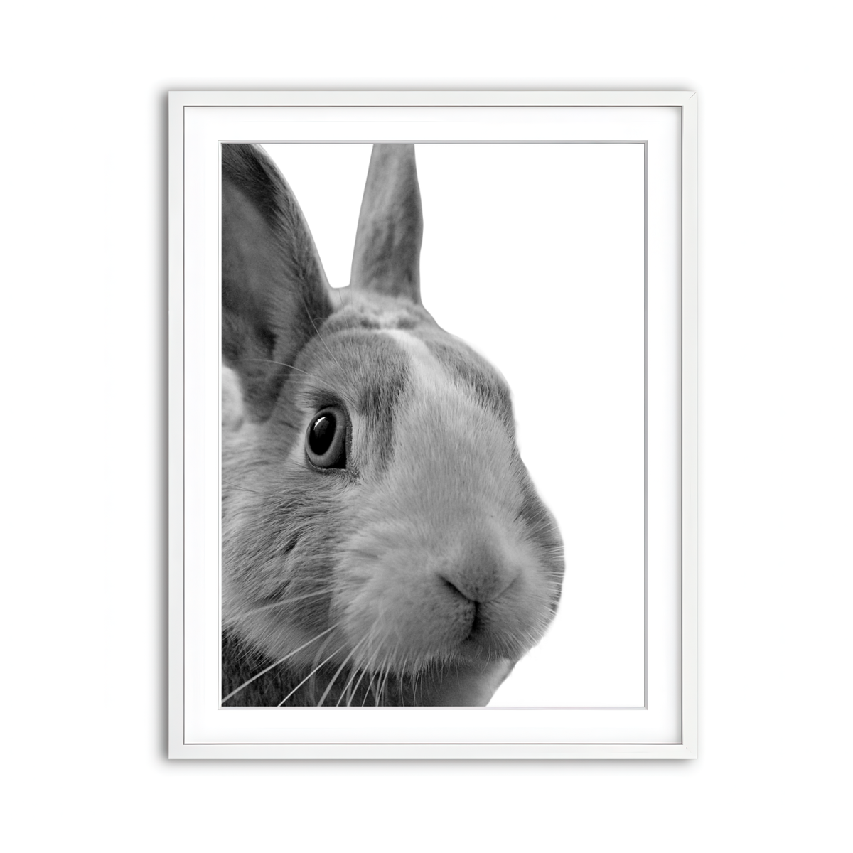 Framed Print 3x4 White